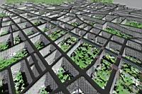 terra incognita003.jpg